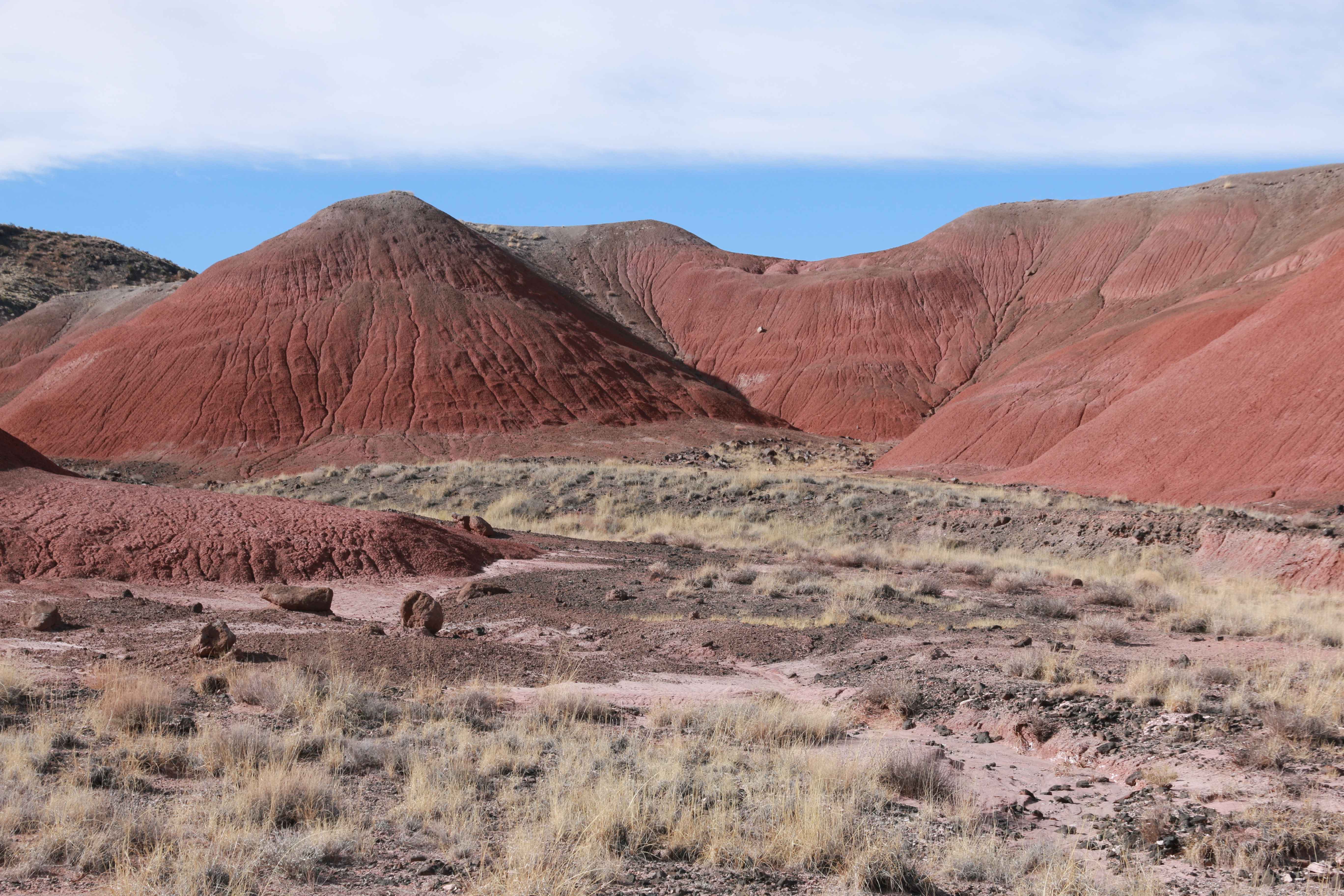 Petrified Forest NP